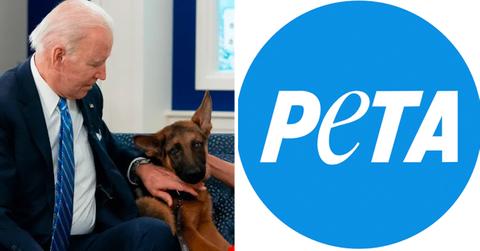 peta defends joe biden biting dog pp