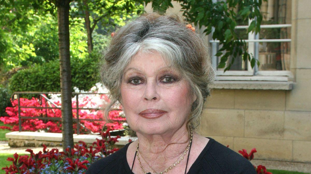 brigitte bardots legacy prejudiced politics poor parenting