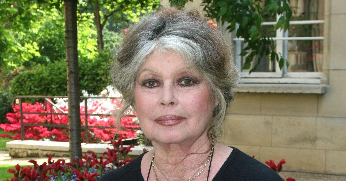 EXCLUSIVE: Brigitte Bardot Branded 'The Ugly Side of Beauty' After Death — As Her Legacy is Marred by Prejudiced Politics and Poor Parenting