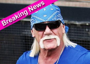 //hulk hogan wenn