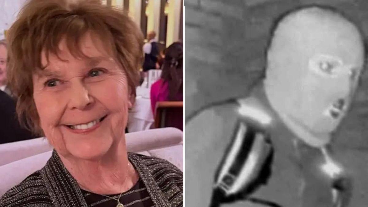 Nancy Guthrie went missing on February 1.