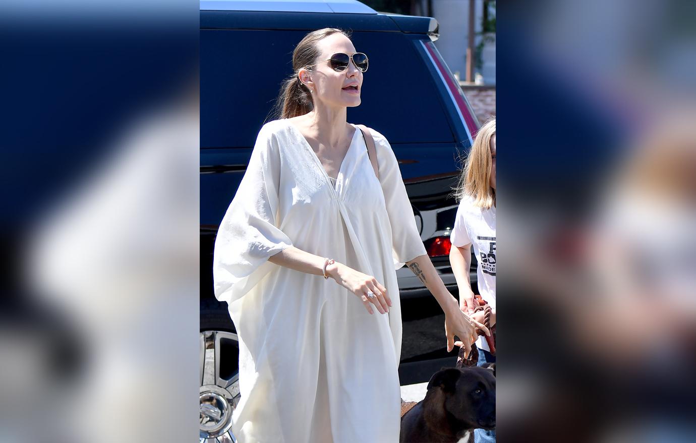 Angelina Jolie and Vivienne Jolie-Pitt head to a dog supply store in Los Angeles.