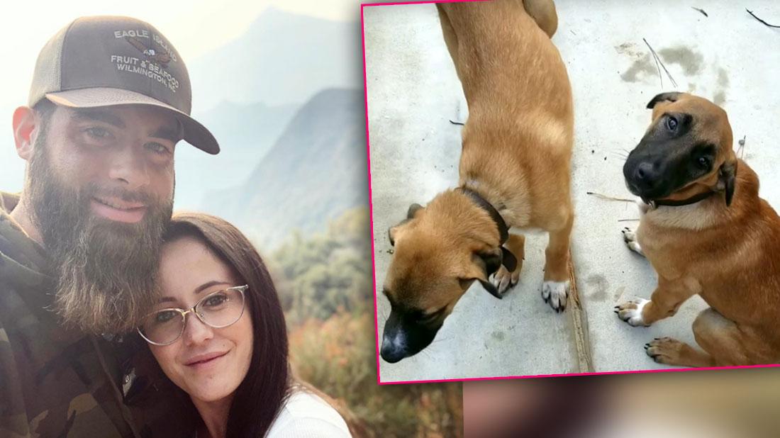 Jenelle Evans’ Family Terrified She Has Two New Dogs, ‘Can’t Do Anything About It’
