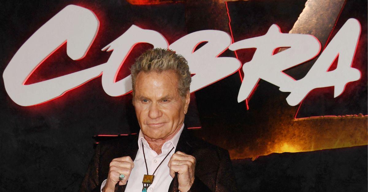 cobra kai martin kove bites co star booted fan event police