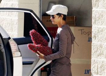 //fpberryhallemac_ _