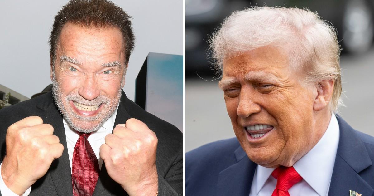 Photo of Arnold Schwarzenegger, Donald Trump