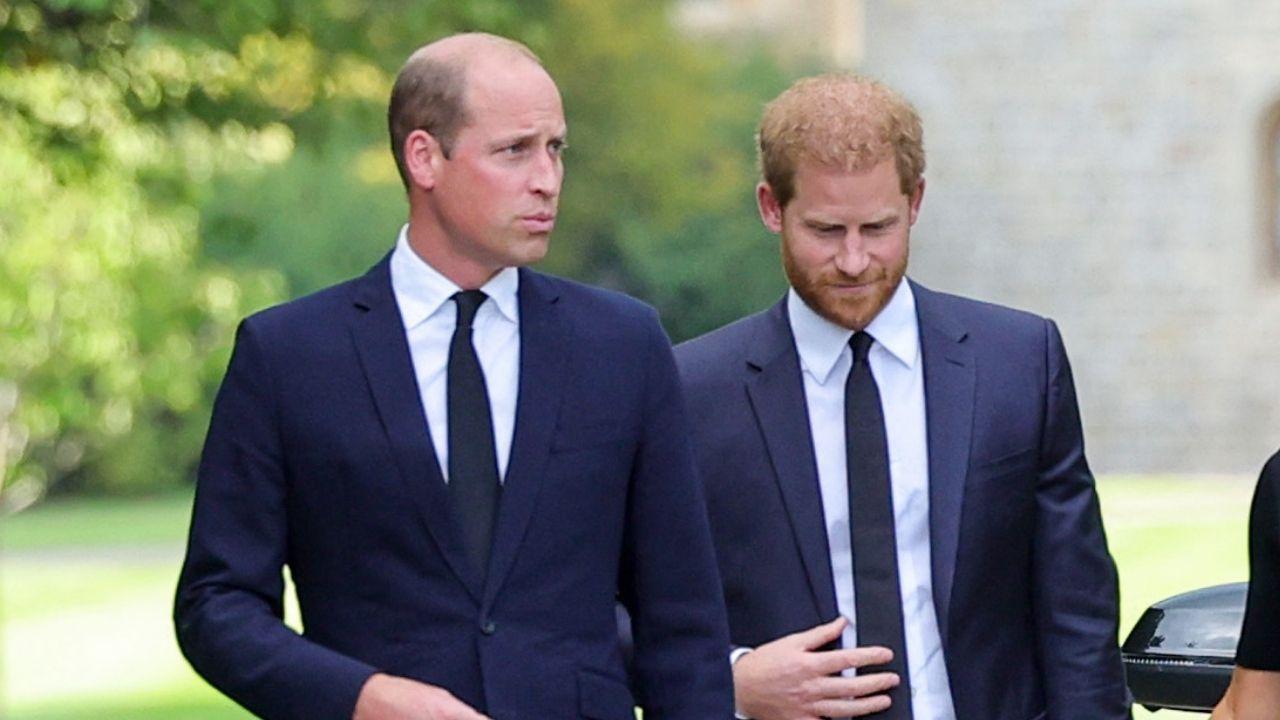 Photo of Princes William and Harry