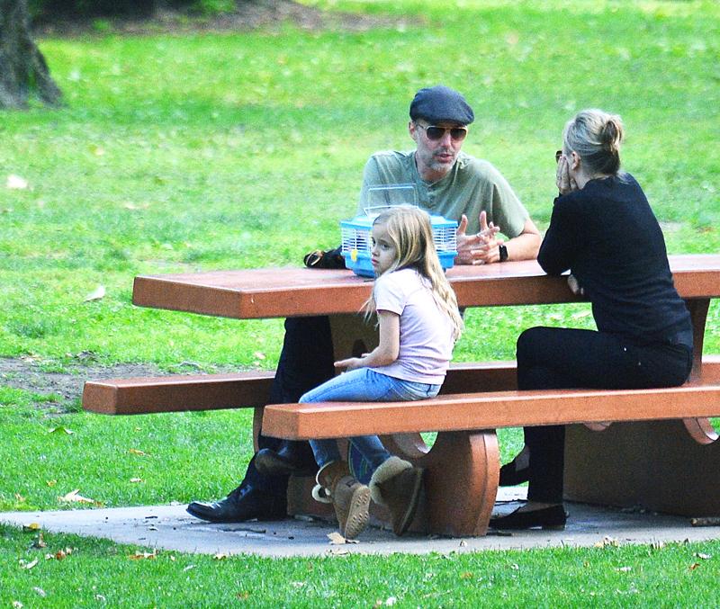 angelina jolie divorce brad pitt kids shiloh park uncle james haven