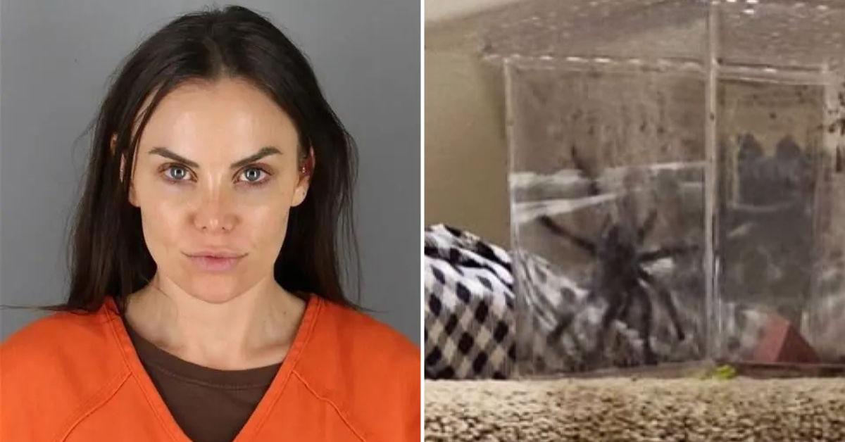 Airbnb Host From Hell: Minnesota Political Candidate, 32, Convicted of Assault for Throwing a Tarantula at Tenant 'to Get Her to Leave' Property