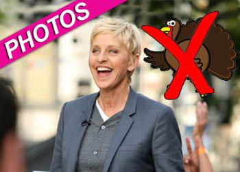 //ellen degenerous turkey