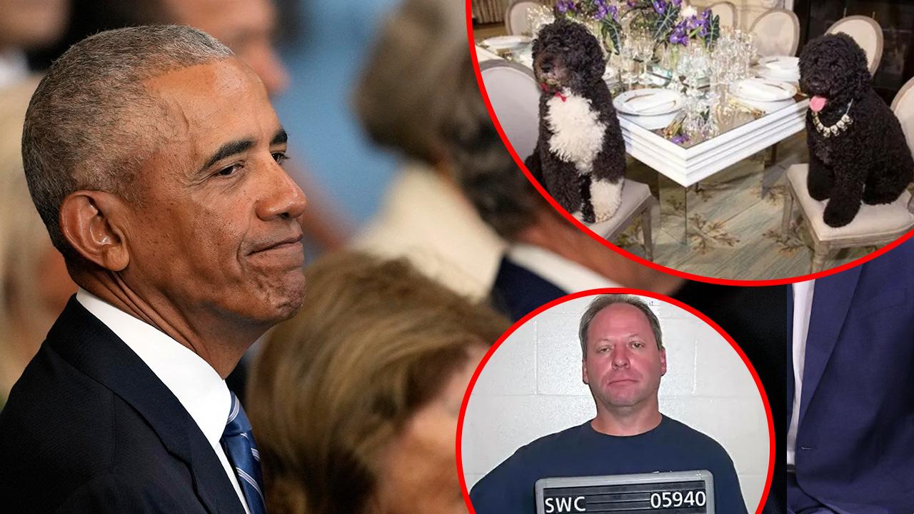 Secret Service agents stopped a man intent on kidnapping President Obama's pet dogs.