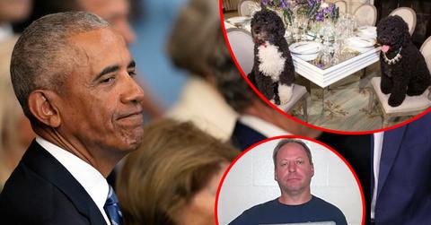 Secret Service agents stopped a man intent on kidnapping President Obama's pet dogs.