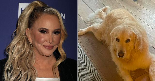 shannon beador dog archie acting normal