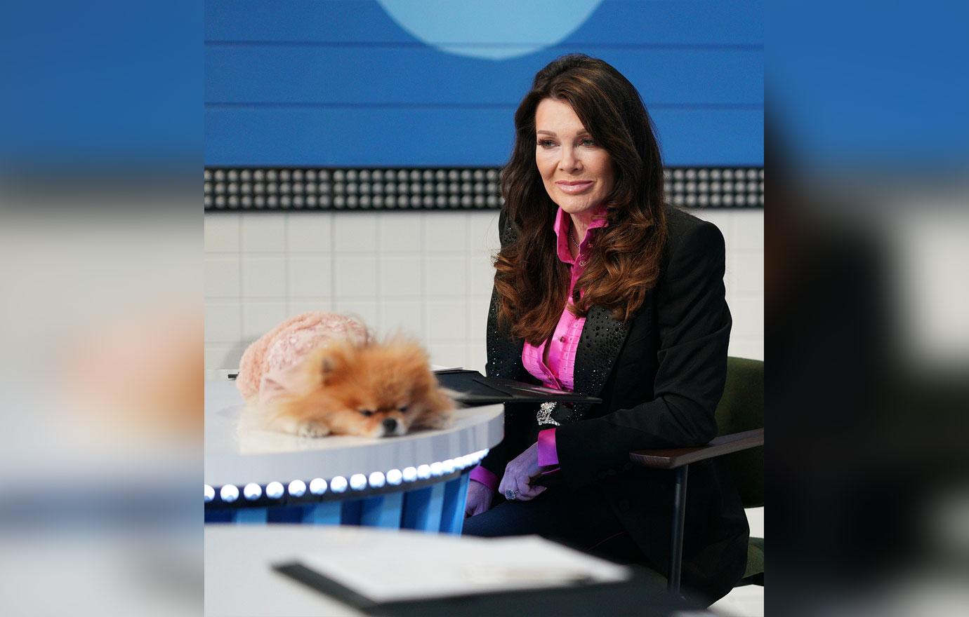 lisa vanderpump doggie abuse pooch perfect twitter