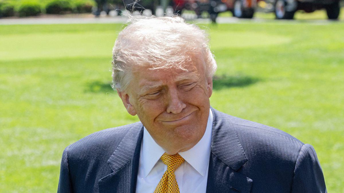 picture of donald trump