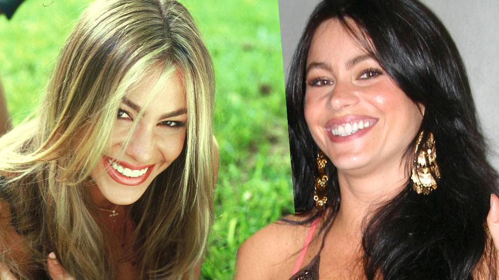 Kim Kardashian Blonde Celebrities Brunette