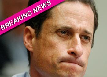 //wiener__ _ap_images