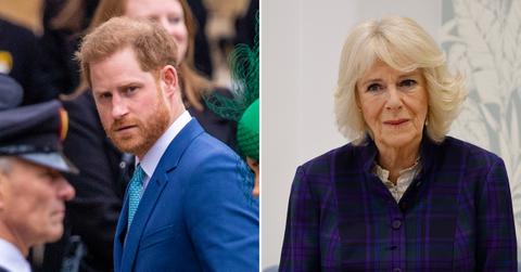 prince harry cant stand camilla pp