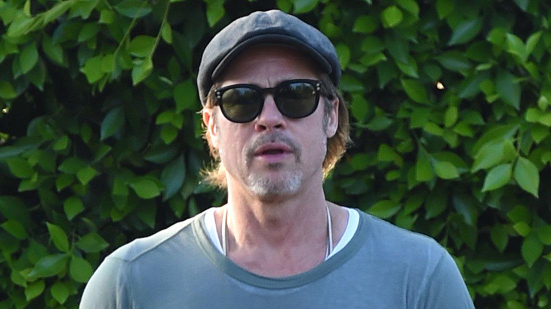 Brad Pitt Turns To Beekeeping Amid Flagging Career