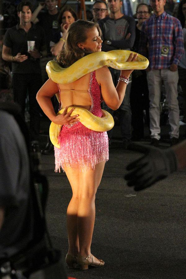 Bindi Irwin Dancing With The Stars Snake