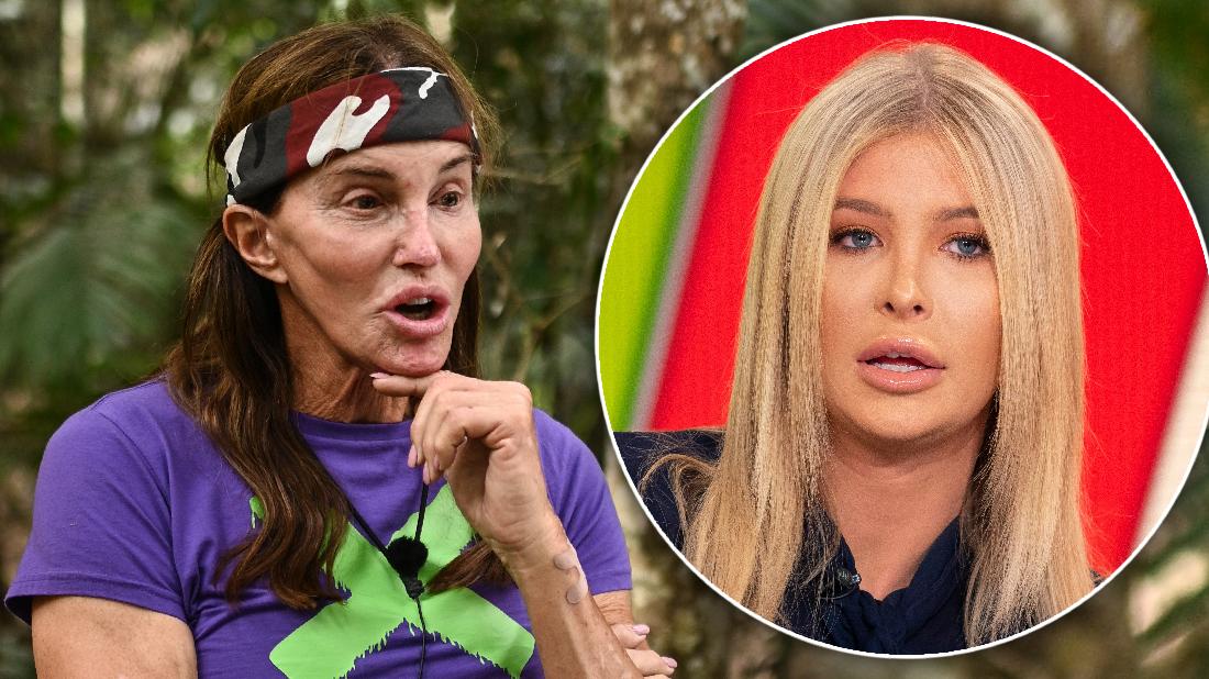 Caitlyn Jenner's Gal Pal Sophia Hutchins Denies Romance