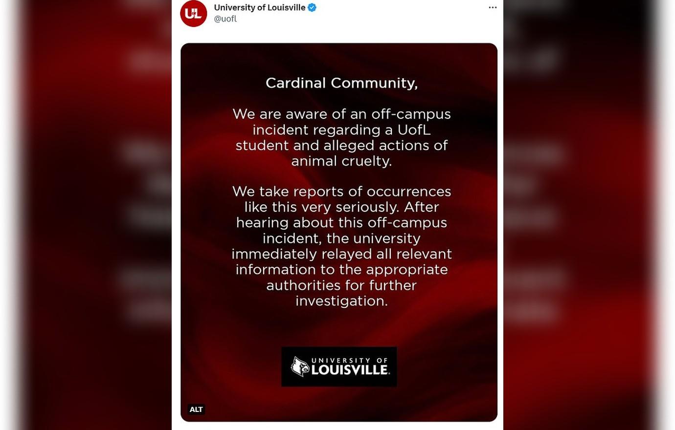 university louisville