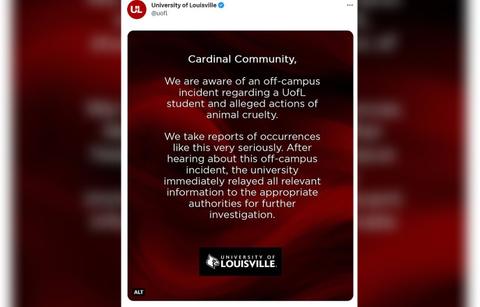 university louisville