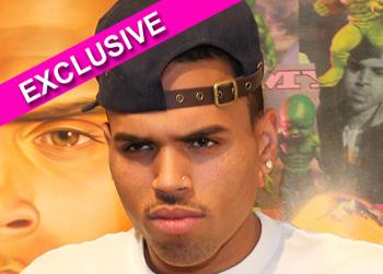 //chris brown gay slur wenn