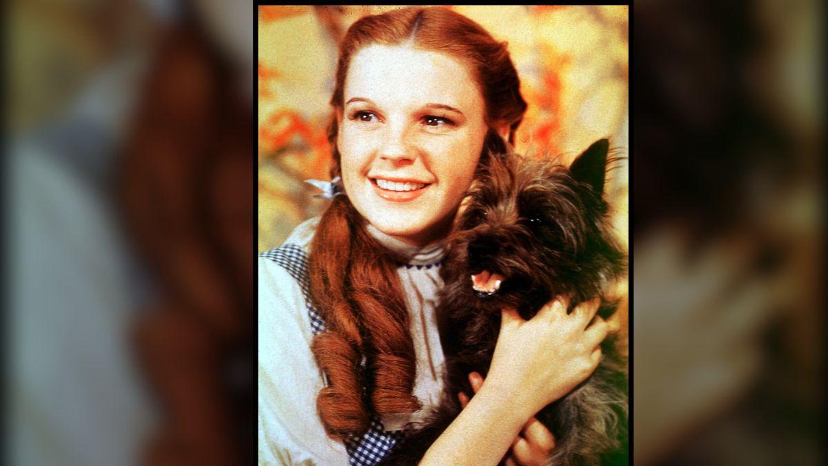 judy garland rock hudson unbreakable bond secrets
