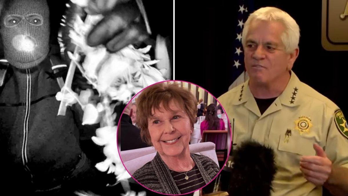 nancy guthrie kidnapper and sheriff