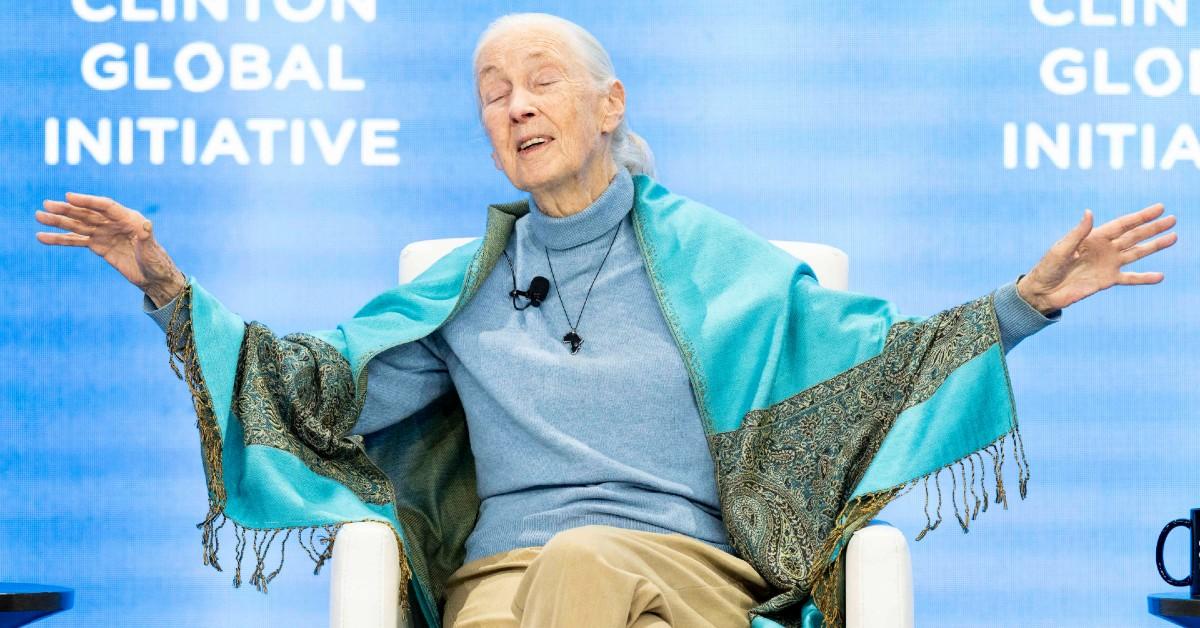 Photo of Jane Goodall