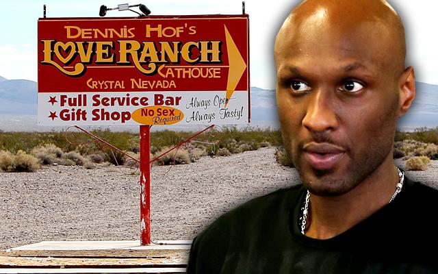 Sex Worker Reveals Suspicious New Details In Lamar Odom S Brothel Od
