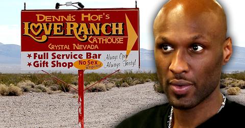 Lamar Odom Love Ranch Brothel Details