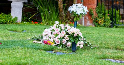 Richard Simmons Pauly Shore biopic feud