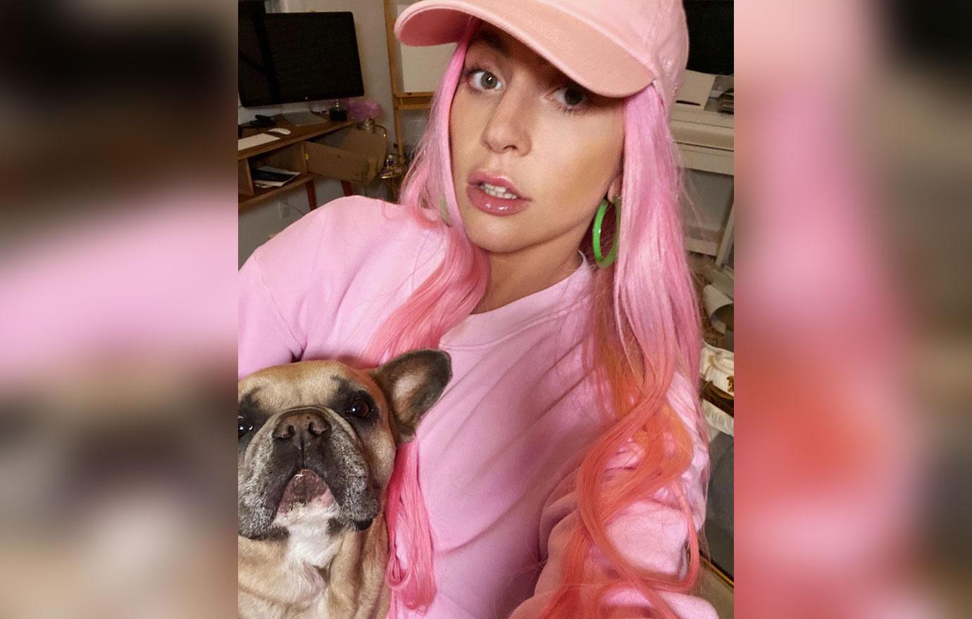 lady gaga dog walker shot leaves los angeles new york ryan fischer