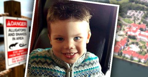 //disney alligator attack call pp