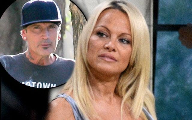 Pamela Anderson Hepatitis C