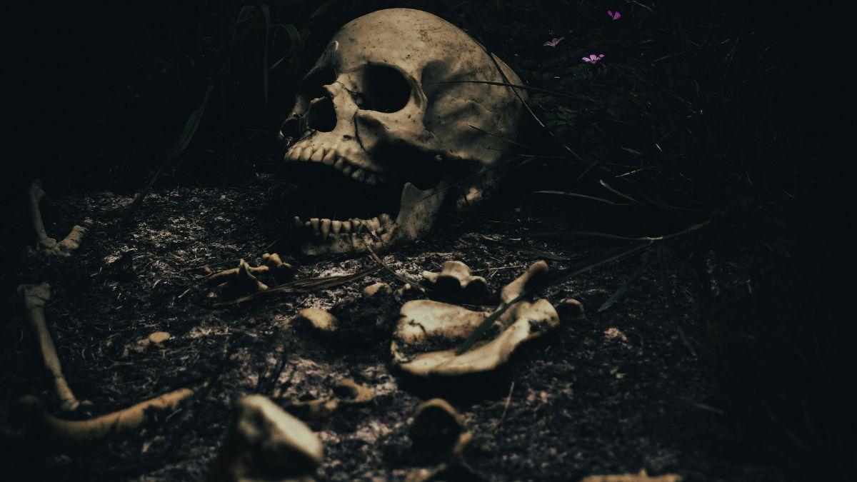 Photo of skeletal remains