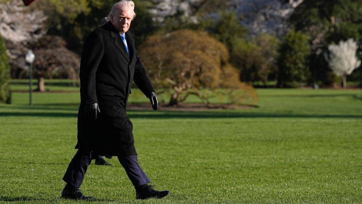 Photo of Donald Trump