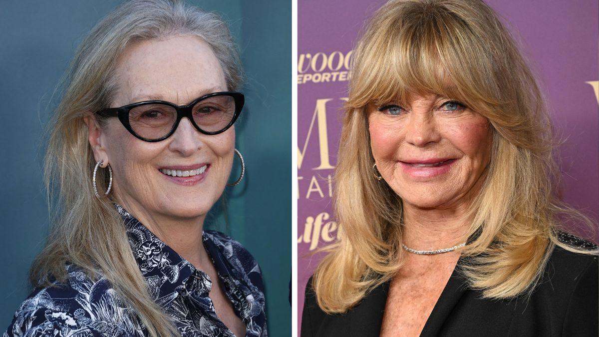 Meryl Streep and Goldie Hawn's longtime Hollywood rivalry has alleged resurfaced after many decades.