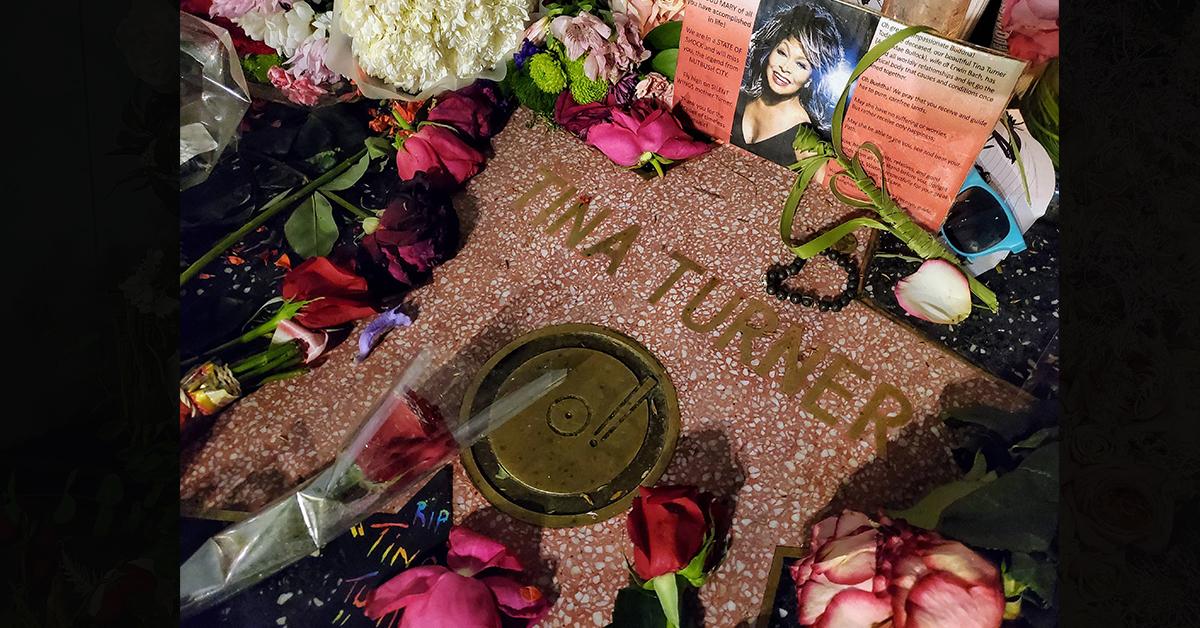 tina turner cremated cause of death