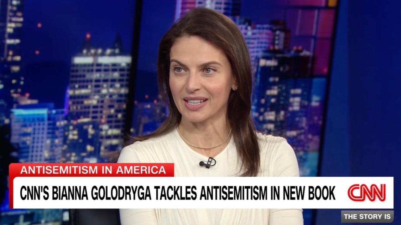 Brianna Golodryga in interview