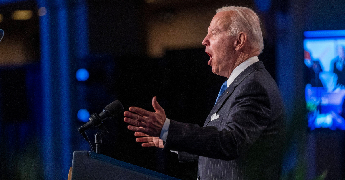 Joe Biden's Brother Dragged Into Hunter Biden's Tax Fraud Probe