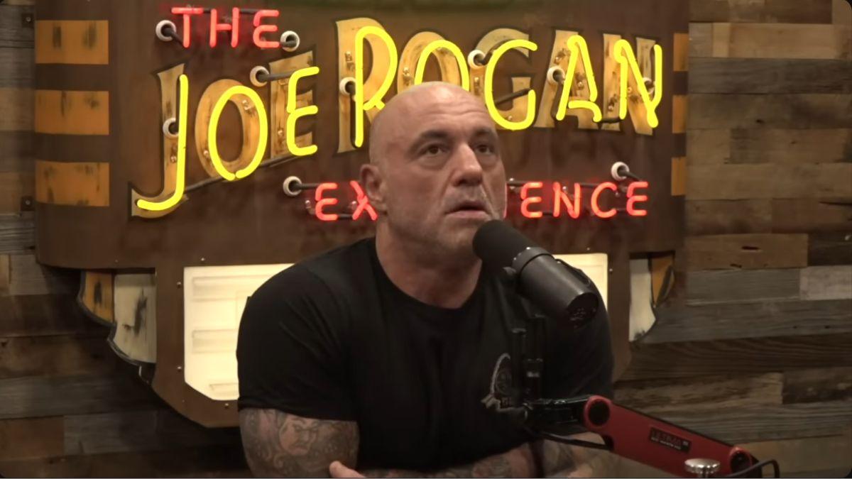 joe rogan