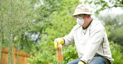 resultcdc wzijphvl unsplash