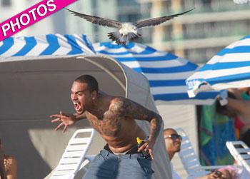 //chris brown beach seagulls post
