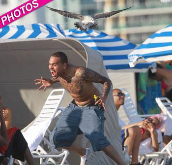 //chris brown beach seagulls post