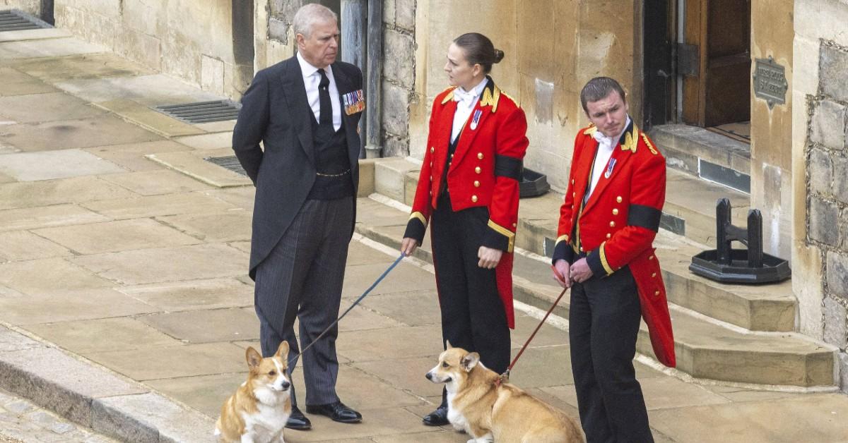 prince andrew desperate bid avoid eviction royal lodge queen elizabeth corgis