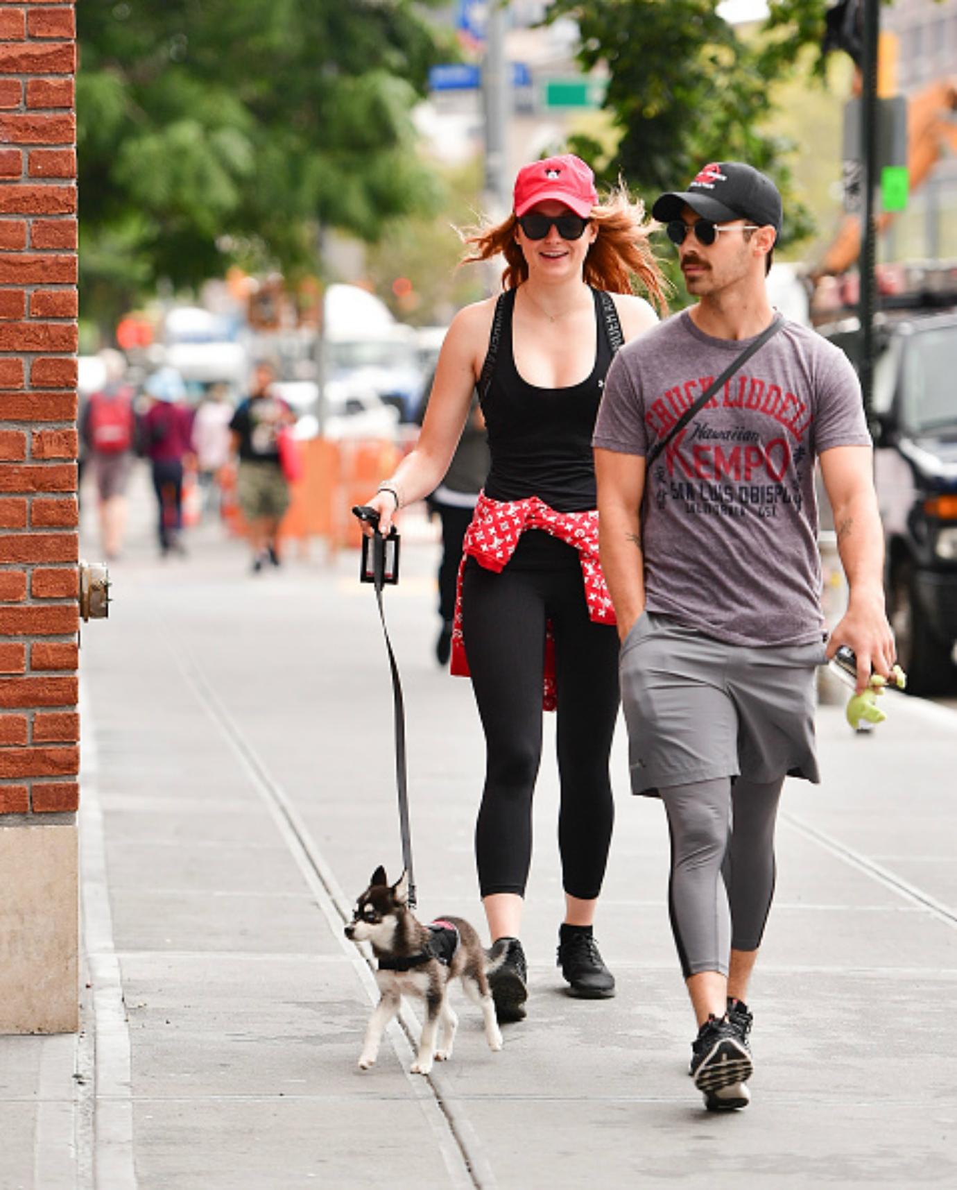 Joe Jonas and Sophie Turner walk their dog.