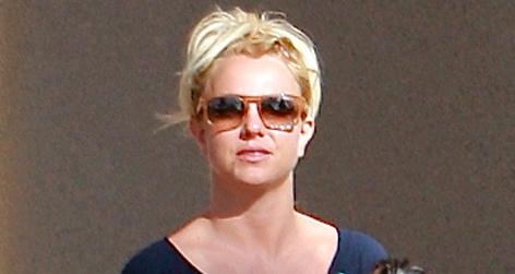 //britney spears dog square